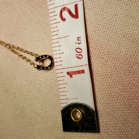 Lucky Horseshoe Necklace Horse Cowgirl Western Country Vaquera Dainty Minimalist - Picture 11 of 13